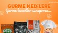 Sosyal Medya Tasarımlarım