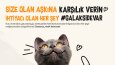 Sosyal Medya Post Çalışması