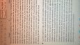Essay Çevirisi