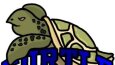 logo tasarımı
