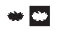 Eagle Edu Logo Tasarımı 