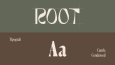 ROOT I Skincare