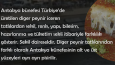 Sosyal Medya 