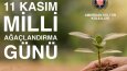 AMERİKAN KÜLTÜR KOLEJİ