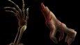 2D Assetler