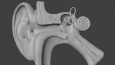 3D Modelleme Çalışmalarım