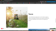 Anahtar Teslim WordPress 
