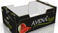 Avena Karpuz Kolileri Tasarımları