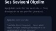 Ses Karizması