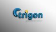 Trigon Kurumsal Logo Tasarımları