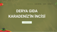 WordPress Site Kurulumu 