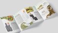 Niz Olive Katalog