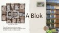 Çok Bloklu Yerleşim — Görselleştirme ve Sunum Dosyası