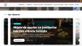 web site kurulumu