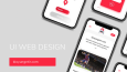 WEB TASARIM
