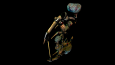 GAME ASSETS