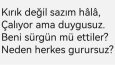 HİSLERİ UYANDIRAN SÖZLER