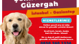 Limon Pet Sosyal Medya Tasarımları