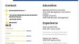 İngilizce ve Türkçe dillerinde Profesyonel Cv
