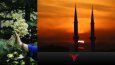 örnek fotoğraflar tamamen bana aittir telif hakkı vardır