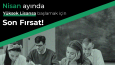 Sosyal Medya Tasarımları
