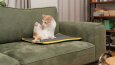 kedi matı ve oyuncakları