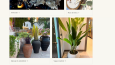 Decora uygun minimal bir site tasarımı