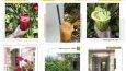 İnstagram sayfanız için postlar