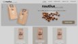 Website Design 