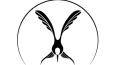 Özgün Logo Tasarımı