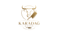 Premium Logo Tasarımı