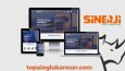 Profesyonel web tasarım 