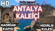 Sosyal Medya Tasarımları