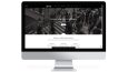 WordPress Tasarımları