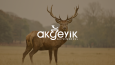 Akgeyik Tipografik Logo Çalışması