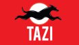Logo Tasarımları
