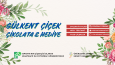 Sosyal Medya & Web Banner
