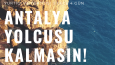Çeşitli tasarımlar 