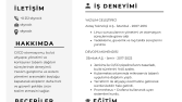 profesyonel cv