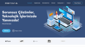 Proteknik Store web sitesi