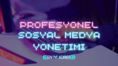 Profesyonel sosyal medya yönetimi