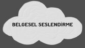 Belgesel seslendirmenin tam zamanı