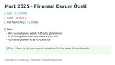 Aylık Finansal Durum Raporu Örneği