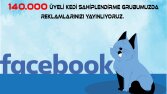 Türkiyenin en büyük evcil hayvan kedi facebook Grubuyuz
