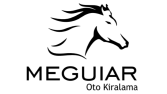 Oto Kiralama - Şirket Logosu