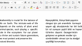 Anlam Bütünlüğünü Bozmadan Çeviri Yapabilirim.