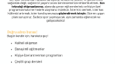 Metin yazarlığı