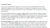 Ürün İnceleme Yazıları