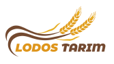 Lodos Tarım