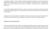 websitesi-çeviri